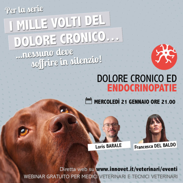 DOLORE CRONICO ED ENDOCRINOPATIE