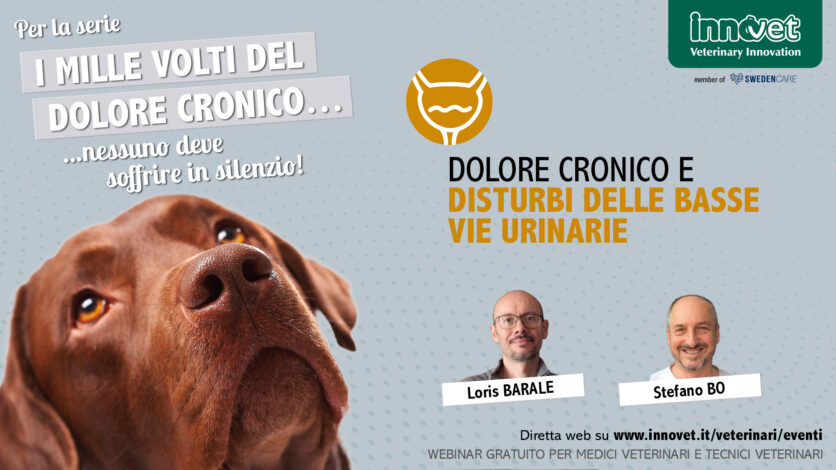 Dolore cronico e disturbi delle basse vie urinarie