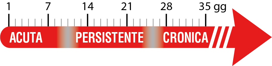 Grafico delle forme acuta, persistente e cronica