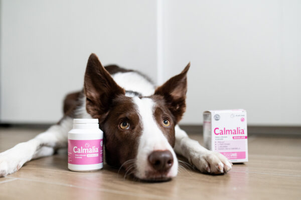 Immagine per l'articolo: Ansia, stress, paura? Da oggi c’è Calmalia®