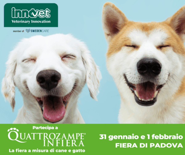 Immagine per l'articolo: Innovet protagonista a tutte le tappe di Quattrozampeinfiera con novità di prodotto e la presenza a stand del Dottor Luca Giansanti (@dr.luca_vet)