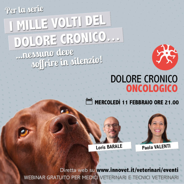 DOLORE CRONICO ONCOLOGICO