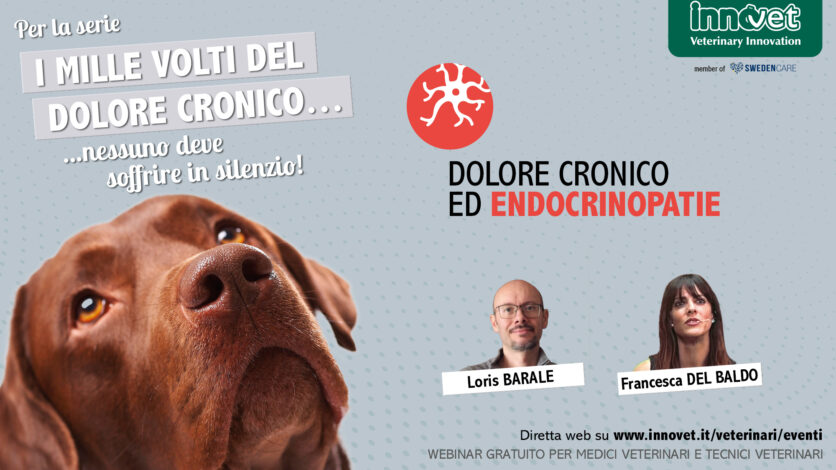Dolore cronico ed Endocrinopatie