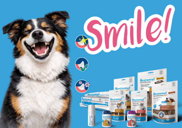 Immagine per l'articolo: FEBBRAIO, RIFLETTORI PUNTATI SULL’IGIENE ORALE DEI PET