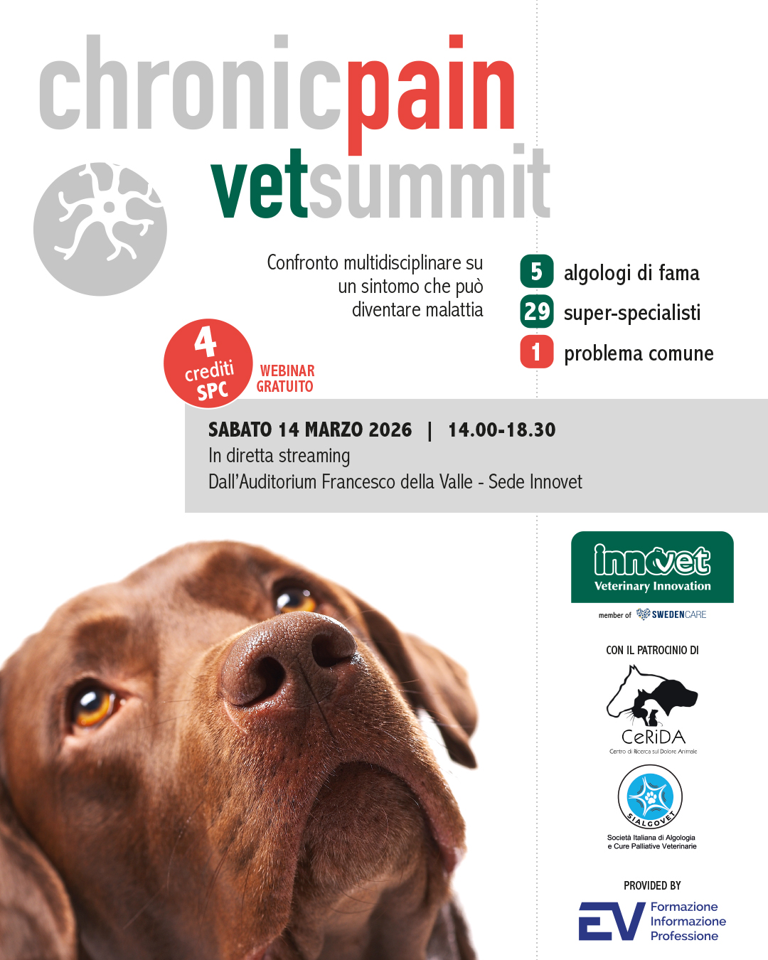 CHRONIC PAIN VET SUMMIT