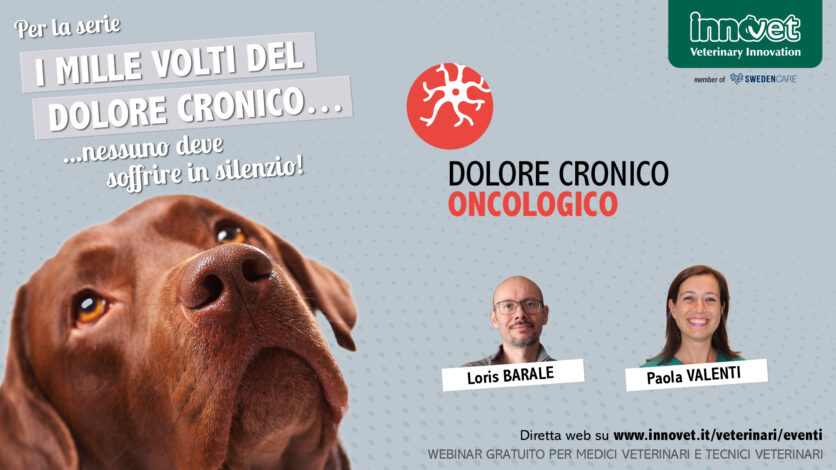 Dolore cronico oncologico