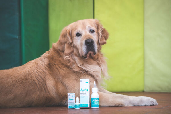 Immagine per l'articolo: AURÌA®: IL PROTOCOLLO COMPLETO A BASE DI ALIAMIDI PER LA SALUTE DELL’ORECCHIO ESTERNO DI CANI E GATTI