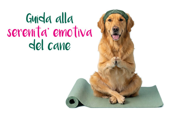 Immagine per l'articolo: LA NUOVA GUIDA INNOVET ALLA SERENITÀ EMOTIVA DEL CANE