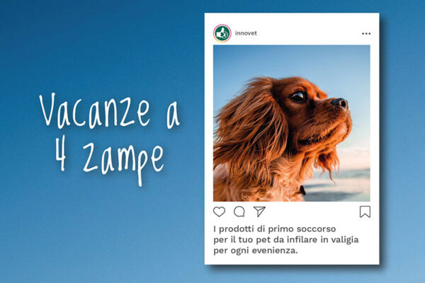Immagine per l'articolo: Vacanze a 4 zampe